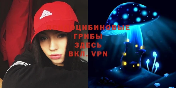 твердый Алексин