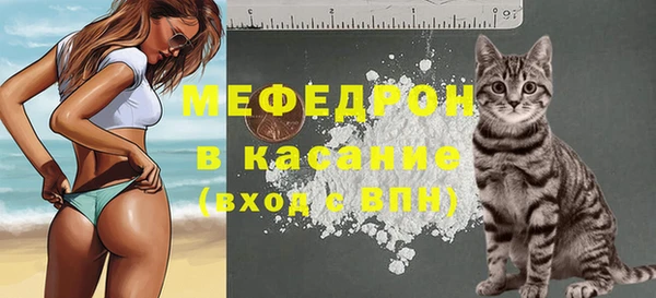 твердый Алексин