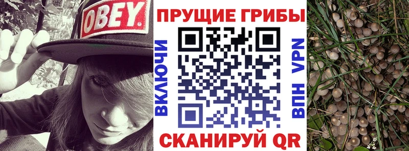 Галлюциногенные грибы Magic Shrooms Феодосия